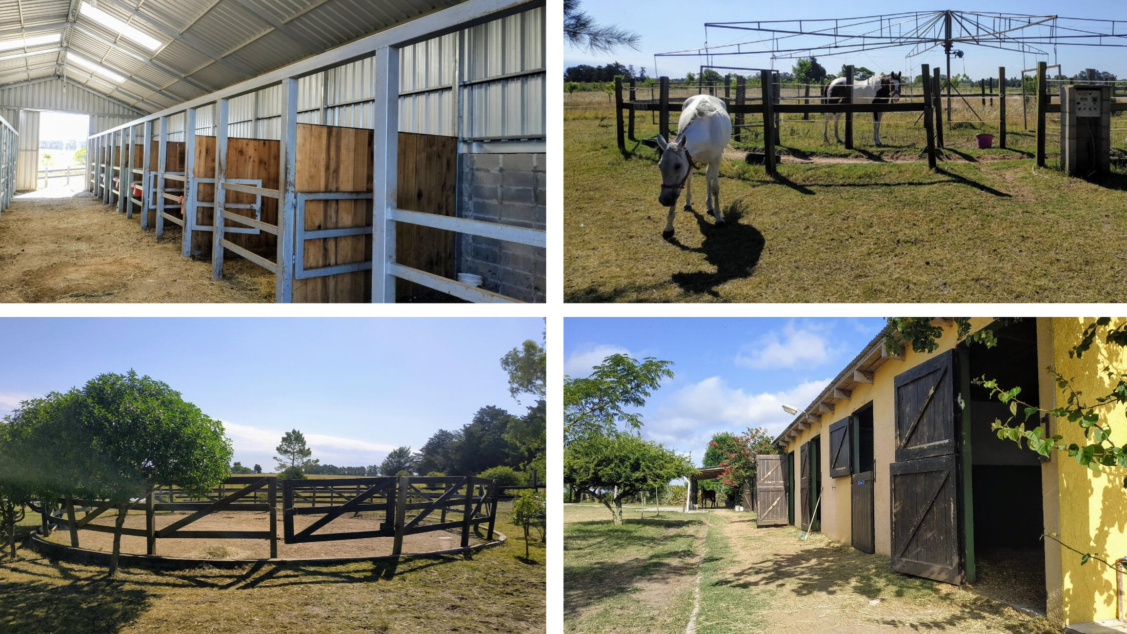 Caballerizas e instalaciones en Establecimiento El Timbó, Sosa Días, Canelones.